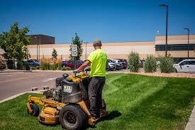 Property Maintenance